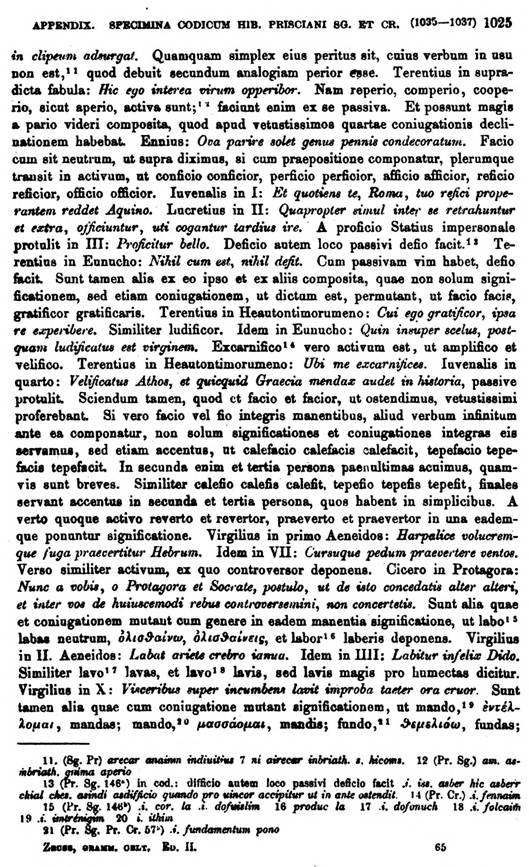 F9688_grammatica_celtica_zeuss_1871_1025.jpg
