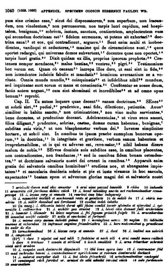 F9703_grammatica_celtica_zeuss_1871_1040.jpg