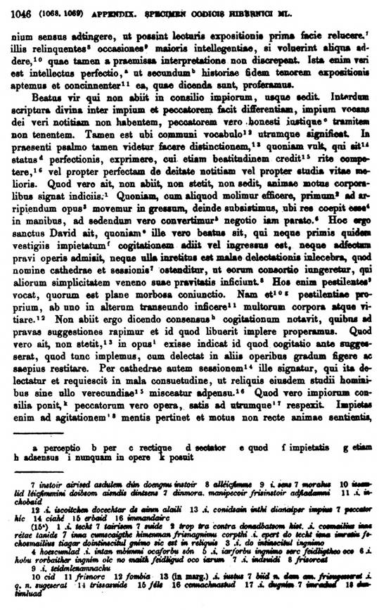 F9709_grammatica_celtica_zeuss_1871_1046.jpg