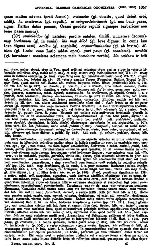 F9720_grammatica_celtica_zeuss_1871_1057.jpg