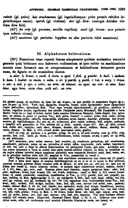 F9722_grammatica_celtica_zeuss_1871_1059.jpg