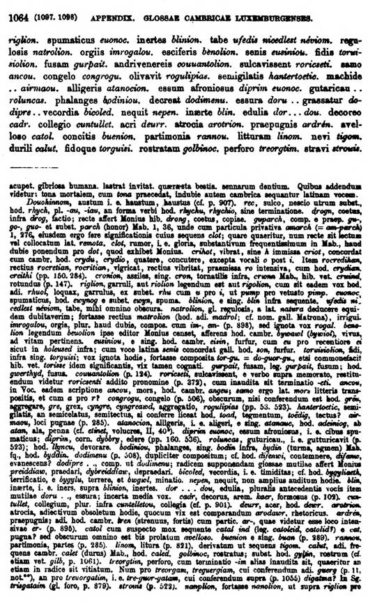 F9727_grammatica_celtica_zeuss_1871_1064.jpg