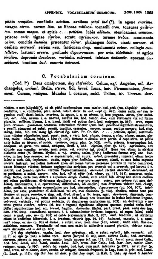 F9728_grammatica_celtica_zeuss_1871_1065.jpg