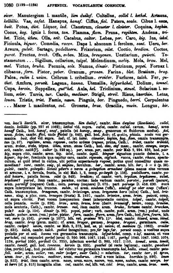 F9743_grammatica_celtica_zeuss_1871_1080.jpg